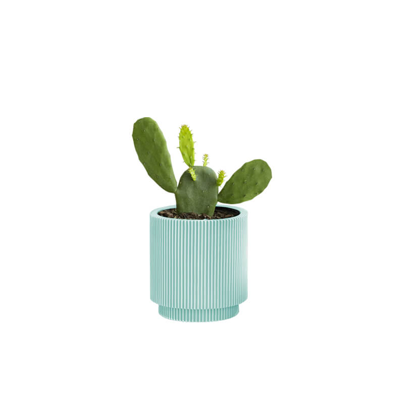 Cactus Flat (Demo)